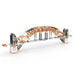 Buildings \x26 Bridges: STEM Structures  hi\-res