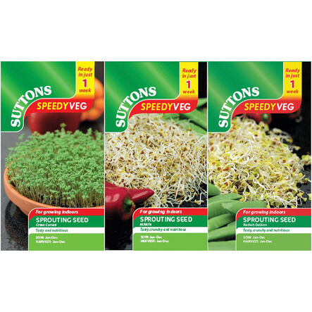 Seeds To Eat In 1 Week \- 3pk  hi\-res