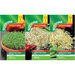 Seeds To Eat In 1 Week \- 3pk  hi\-res