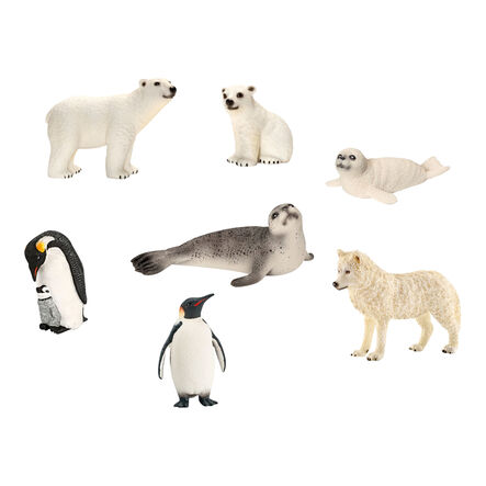 Parent and Baby Arctic and Antarctic Animal Collection  hi\-res