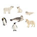 Parent and Baby Arctic and Antarctic Animal Collection  hi\-res