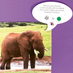 TTS Talk-time A5 Recordable Speech Bubble  TTS Talk-time A5 Recordable Speech Bubble  hi-res