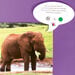 TTS Talk\-time A5 Recordable Speech Bubble  hi\-res