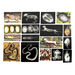 Polydron Animal X\-Rays and Picture Cards  hi\-res