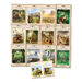 Totem Series Decodable Book Pack 12pk  hi\-res