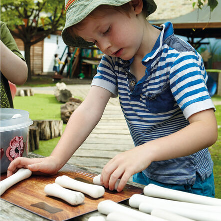 Match and Measure Dinosaur Bones and Activity Cards  hi\-res