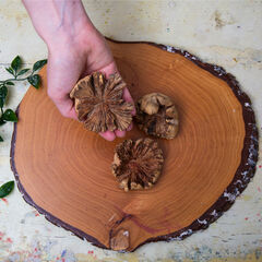 Loose Parts Natural Wood Roses 3pk  Loose Parts Natural Wood Roses 3pk  hi-res