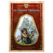 Titans Gauntlets Phonic Reading Book Pack 10pk  hi\-res