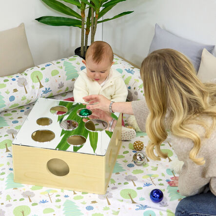 TTS Mirrored Sensory Posting \x26 Sorting Box  hi\-res