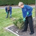 KS2 Gardening Tools  hi\-res