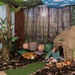 TTS Immersive Environments Backdrops Woodland  hi\-res