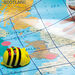 TTS Bee\-Bot® Transparent Grid Mat  hi\-res