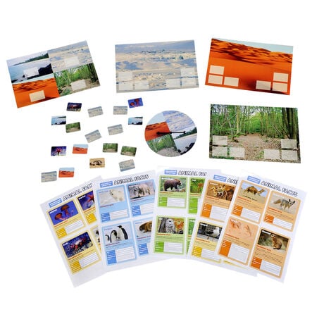 Animal Habitats Sorting Game  hi\-res