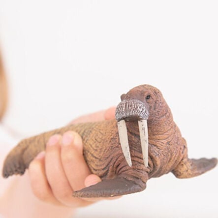 Parent and Baby Arctic and Antarctic Animal Collection  hi\-res