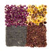 Dried Flowers Natural Collage Pack  hi\-res