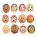 Emotion Pebbles 12pk  hi\-res