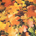 Seasons Themed Bean Bags Floor Cushions  hi\-res