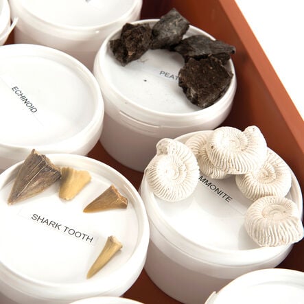 Fossil Class Pack  hi\-res