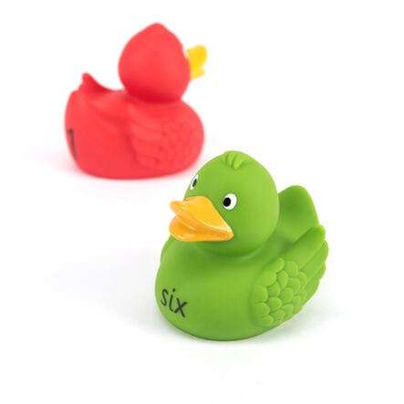 Counting Ducks  hi\-res