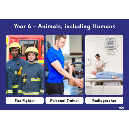 TTS Who Needs Science? \- Activity Cards Activity Cards LKS2  hi\-res