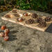 Domino 10 Frame Sorting Tray  hi\-res