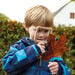 Wooden Shape Viewers  hi\-res