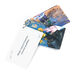 Adventures Outdoors Activity Cards 30pk  hi\-res