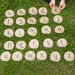TTS Rustic Letters  hi\-res