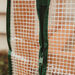 Outdoor Greenhouse with Cover  hi\-res