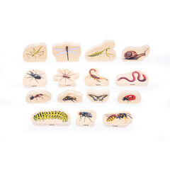 Wooden Minibeast Blocks  hi-res