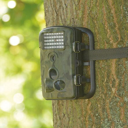Time Lapse And Motion Activated Camera  hi\-res