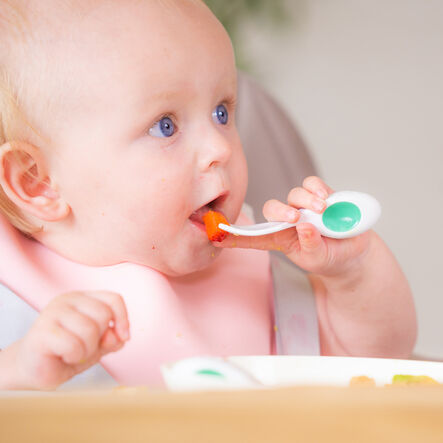 Doddl Baby Cutlery and Case  hi\-res