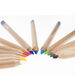 edugreen ECO Triangular Colouring Pencils 10pk  hi\-res