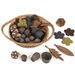 Loose Parts Nature Collection Basket 35pcs  hi\-res