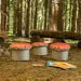 Nature Toadstool Seats  hi\-res