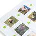 TTS Recordable Wall Chart 5pk  hi\-res