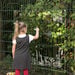 TTS Clear Acrylic Outdoor Nature Art Easel  hi\-res