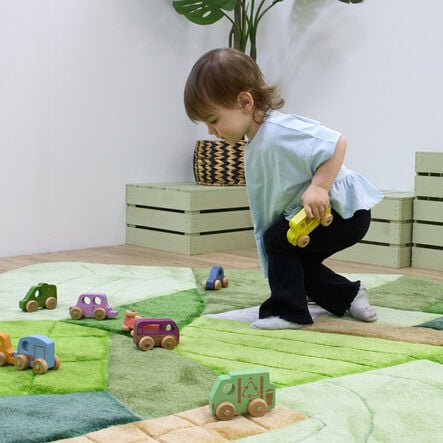 Small World Rainbow Wooden Vehicles Set 12pk  hi\-res