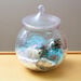 TTS Magical Ingredients Storage Jar  hi\-res