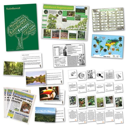 TTS The Rainforest Artefact and Books Resource Box  hi\-res
