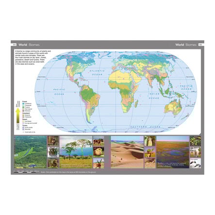 Collins Junior World Atlases KS2  hi\-res