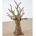 Wild and Wonderful Giant Mache Display Figures Tree  hi\-res