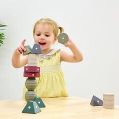 TTS Tonal Wooden Magnetic Shapes 12pk  hi-res