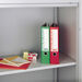 Adjustable Steel Shelf For Bisley Opening Tambours  hi\-res