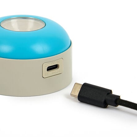 TTS Easi\-Torchies  hi\-res