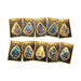 Amber Guardians Catch\-up Reading Books 10pk  hi\-res