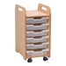 1 Column Tray Storage Unit W\/ 3 Deep Translucent Trays  hi\-res