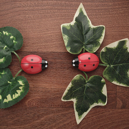 Ladybugs Counting Activity Cards 16pk  hi\-res