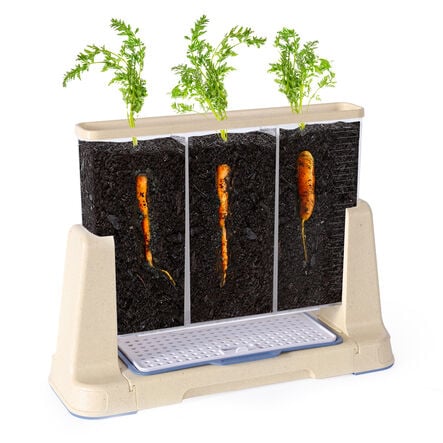 Explore and Discover 3 Section Root View Planter  hi\-res