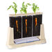 Explore and Discover 3 Section Root View Planter  hi\-res